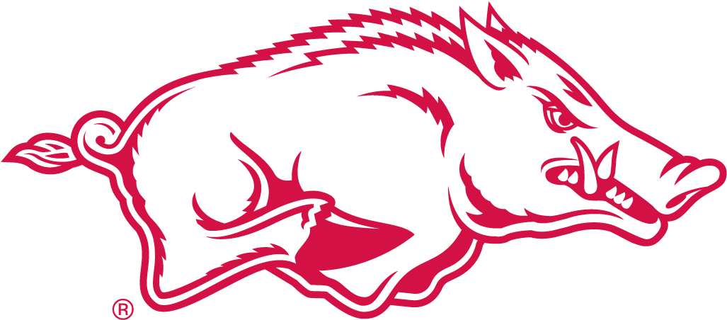 Arkansas Razorbacks 2001-Pres Alternate Logo v4 diy DTF decal sticker